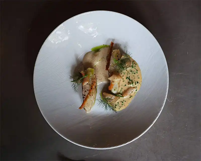 Venue BURGUNDY by Matthien