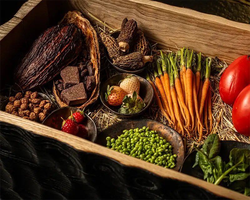 Venue Restaurant CEBO Madrid