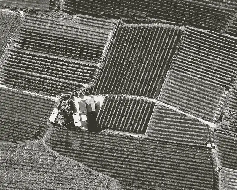 Venue Restaurante Habitual